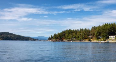 Güneşli yaz gününde Pasifik Okyanusu 'nun batı kıyısındaki Körfez Adaları