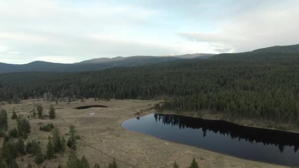 Αεροφωτογραφία της Λίμνης στο Καναδικό Τοπίο. — Αρχείο Βίντεο