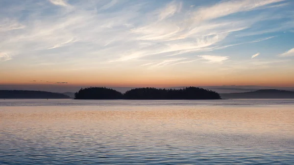 Gulföarna på Stilla havets västkust. — Stockfoto