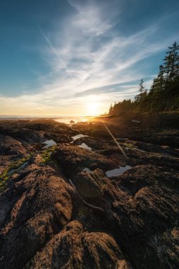 Pasifik Okyanusu 'nun batı kıyısındaki Botanik Plajı.