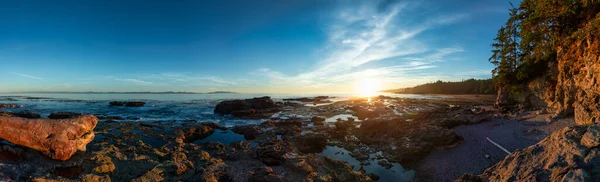 Панорама ботанічного пляжу на західному узбережжі Тихого океану. — стокове фото