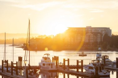Modern şehir parkındaki bir marinada park etmiş tekneler.