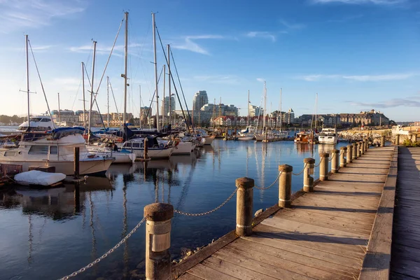 Zeilboten geparkeerd bij een jachthaven in een modern stadspark — Stockfoto