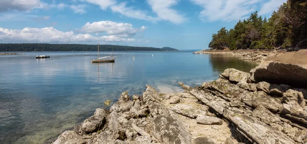Rocky Shore ve Pasifik Okyanusu 'nun batı kıyısındaki Kanada Doğa Manzarası.