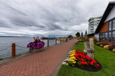 Pasifik Okyanusu Kıyısındaki İskelenin Manzarası