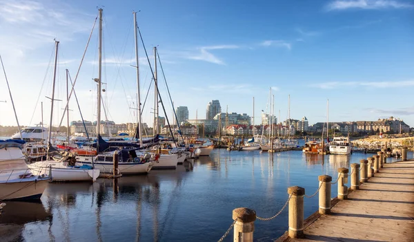 Zeilboten geparkeerd bij een jachthaven in een modern stadspark — Stockfoto