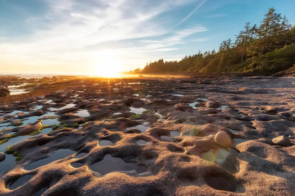 Pasifik Okyanusu 'nun batı kıyısındaki Botanik Plajı.
