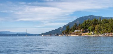 Güneşli yaz gününde Pasifik Okyanusu 'nun batı kıyısındaki Körfez Adaları