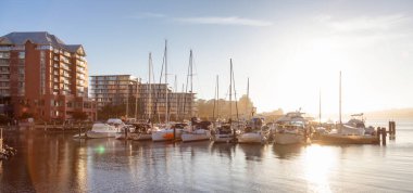 Modern şehir parkındaki bir marinada park etmiş yelkenliler.