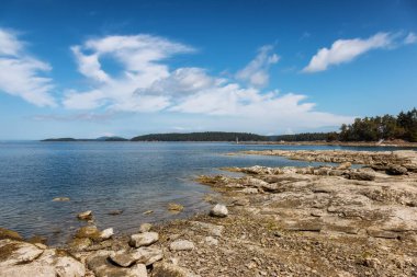 Rocky Shore ve Pasifik Okyanusu 'nun batı kıyısındaki Kanada Doğa Manzarası.