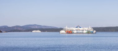 Güneşli bir yaz gününde Körfez Adaları 'ndan geçen BC Feribotları.
