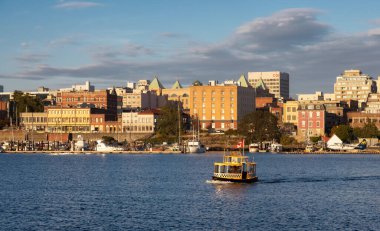 Victoria Limanı 'nda Su Taksisi