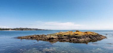 Modern şehir parkında kuşlarla Rocky Shore manzarası, Clover Point