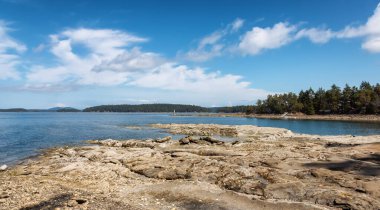 Rocky Shore ve Pasifik Okyanusu 'nun batı kıyısındaki Kanada Doğa Manzarası.