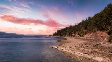 Rocky Shore ve Pasifik Okyanusu 'nun batı kıyısındaki Kanada Doğa Manzarası.