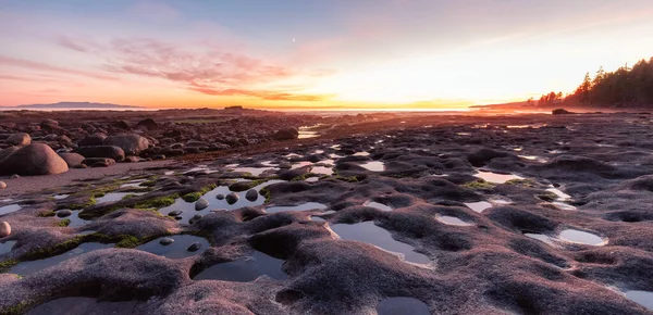 Praia Botânica na Costa Oeste do Oceano Pacífico. — Fotografia de Stock