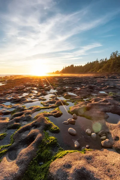 Botanical Beach on the West Coast of Pacific Ocean. — Stock Photo, Image