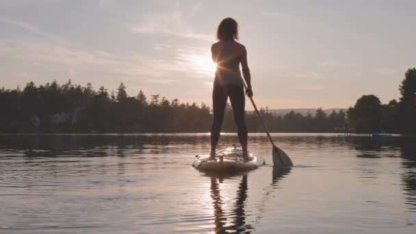 Aventurero caucásico adulto mujer remando en un stand up paddle board — Vídeo de stock