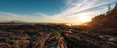 Pasifik Okyanusu 'nun batı kıyısındaki Botanik Plajı.