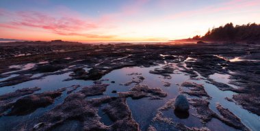 Pasifik Okyanusu 'nun batı kıyısındaki Botanik Plajı.