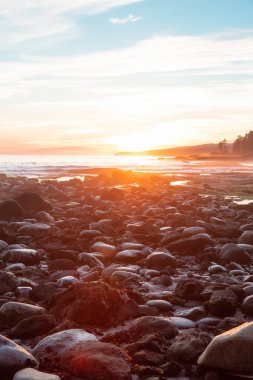 Pasifik Okyanusu 'nun batı kıyısındaki Botanik Plajı.