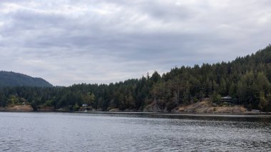 Pasifik Okyanusunun batı kıyısındaki Körfez Adaları.