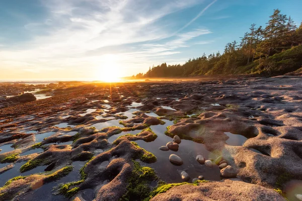 Botanisch strand aan de westkust van de Stille Oceaan. — Stockfoto