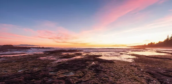 Plage botanique sur la côte ouest de l'océan Pacifique. — Photo