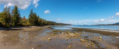 Pasifik Okyanusu 'nun batı kıyısındaki manzara sahili..