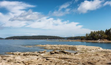Rocky Shore ve Pasifik Okyanusu 'nun batı kıyısındaki Kanada Doğa Manzarası.