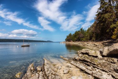 Rocky Shore ve Pasifik Okyanusu 'nun batı kıyısındaki Kanada Doğa Manzarası.
