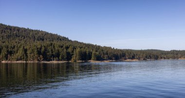 Pasifik Okyanusunun batı kıyısındaki Körfez Adaları.