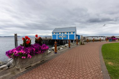 Pasifik Okyanusu Kıyısındaki İskelenin Manzarası