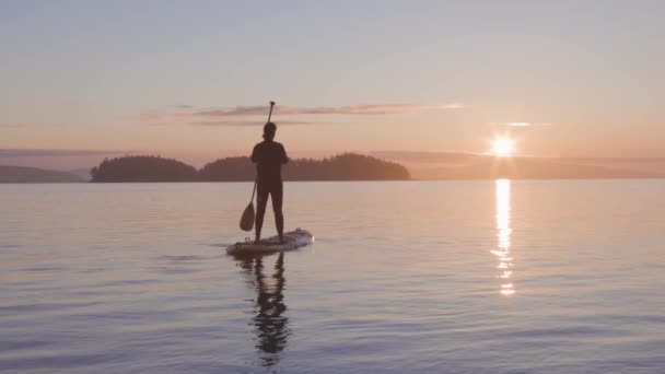 Przygód Kaukaska Dorosła kobieta na stojąco Paddle Board — Wideo stockowe