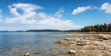 Rocky Shore ve Pasifik Okyanusu 'nun batı kıyısındaki Kanada Doğa Manzarası.