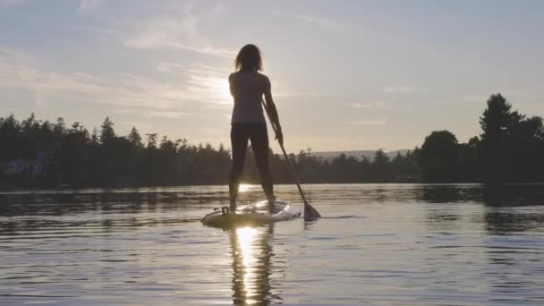 Abenteuerliche erwachsene Frau aus dem Kaukasus paddelt auf einem Stand Up Paddle Board — Stockvideo