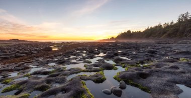 Pasifik Okyanusu 'nun batı kıyısındaki Botanik Plajı.