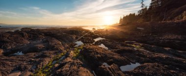 Pasifik Okyanusu 'nun batı kıyısındaki Botanik Plajı.