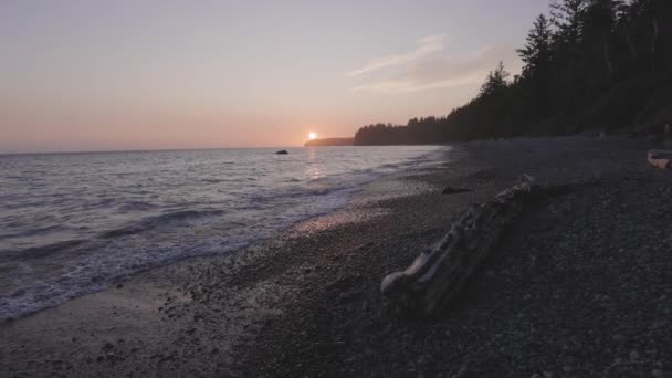 Plaża Sandcut na zachodnim wybrzeżu Oceanu Spokojnego — Wideo stockowe