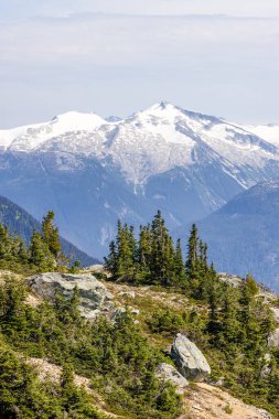Karla kaplı dağ tepeleri ve yüksek çam ağaçları Whistler, BC 'de sakin bir manzara yaratıyor..