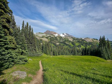 Whistler, BC, Kanada 'da yemyeşil ve karlı tepelerle çevrili dağ yolu.