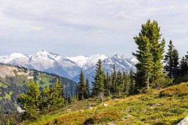 Karlı dağlar, bereketli orman ve dingin Whistler, BC, Kanada 'daki canlı çayırlar..