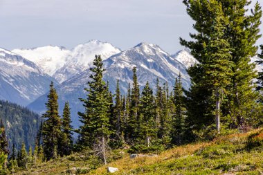 Whistler, BC, Kanada 'daki yemyeşil ormanların çerçevelediği karla kaplı dağlar..