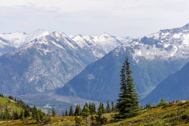 Karla kaplı dağlar ve yemyeşil alanlar Whistler, BC, Kanada 'da çarpıcı bir manzara yaratır..