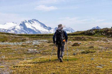 Whistler, BC 'deki muhteşem dağ manzarasında yürüyüş yapan yürüyüşçü, dağlı güzelliklerle çevrili..