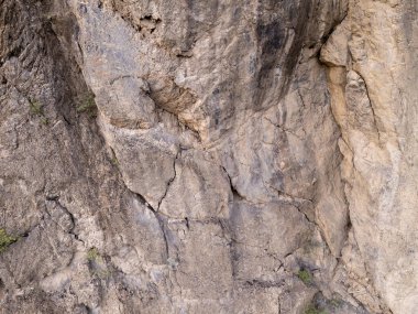 BC, Kanada 'da çatlaklar ve seyrek bitki örtüsünün yer aldığı engebeli kayalık bir uçurumun yakın çekimi