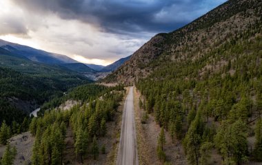 BC, Kanada 'da dramatik bulutlu gökyüzünün altında sakin bir orman yolu.