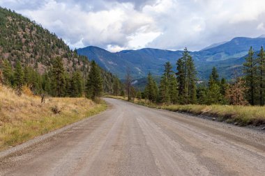 BC, Kanada 'daki yemyeşil orman ve dağların arasından geçen pitoresk bir toprak yol..