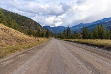 Kanada, BC 'de bulutlu gökyüzünün altında orman ve dağlardan geçen toprak yol..