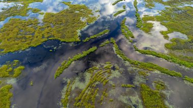 BC, Kanada 'daki canlı sulak alanların dinamik hava manzarası doğal güzellikleri gözler önüne seriyor..